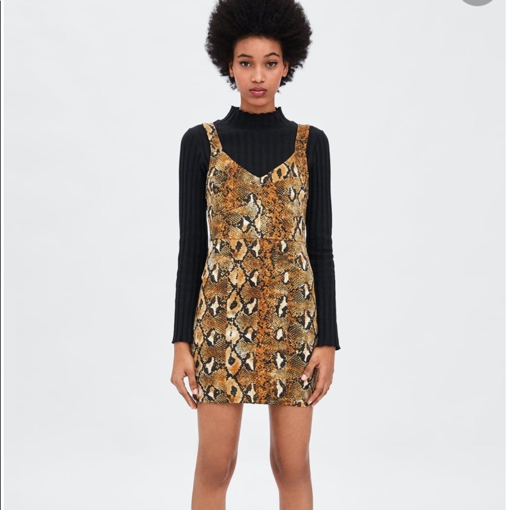 Zara Snakeskin Bodycon Dress
